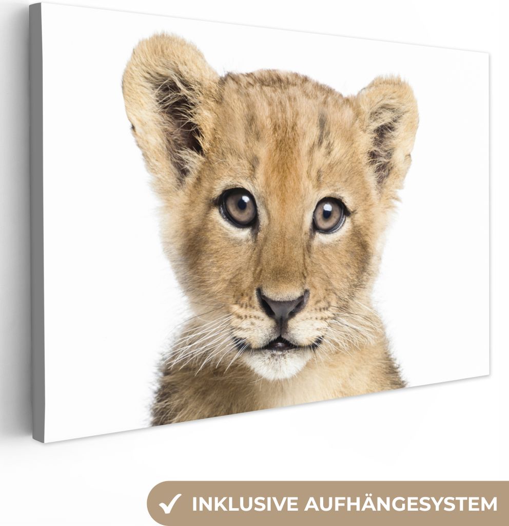 OneMillionCanvasses - Leinwandbilder - 140x90 cm, Löwe - Tiere - Natur - Weiß, Wandbilder Kunstdruck Wanddekoration - Foto auf Leinwand - Gemä...