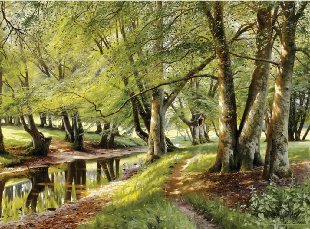 Puzzle de 1000 pièces Forêt d'été et Cerfs pour adultes D-Toys Art