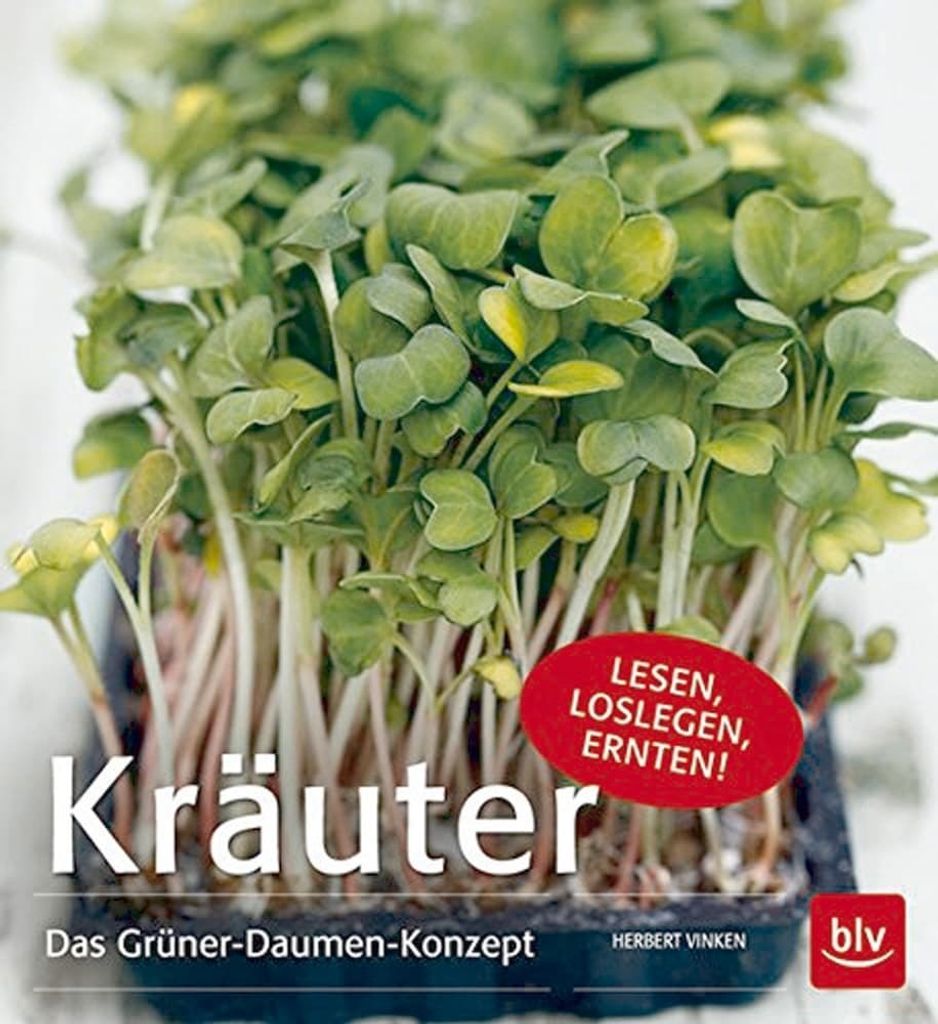 Kräuter: Das Grüner-Daumen-Konzept