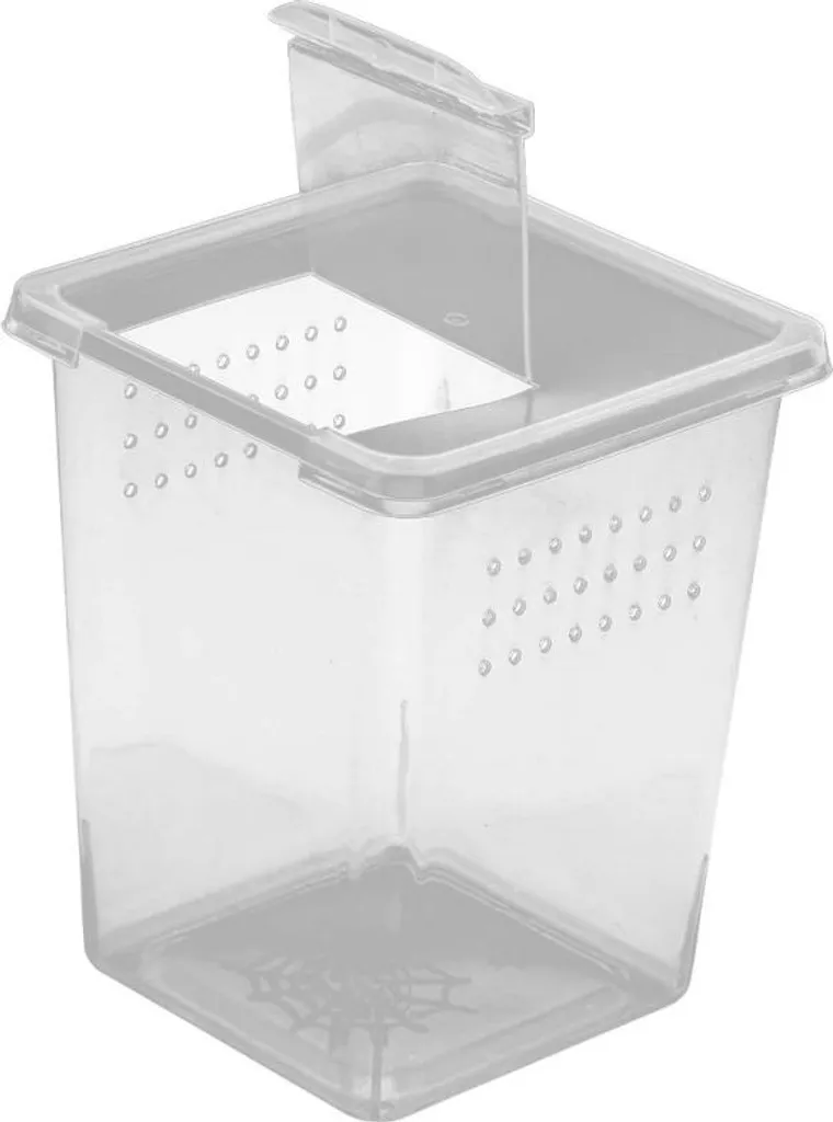 Boîte à insectes transparente avec aération optimisée Terrario 1.1L