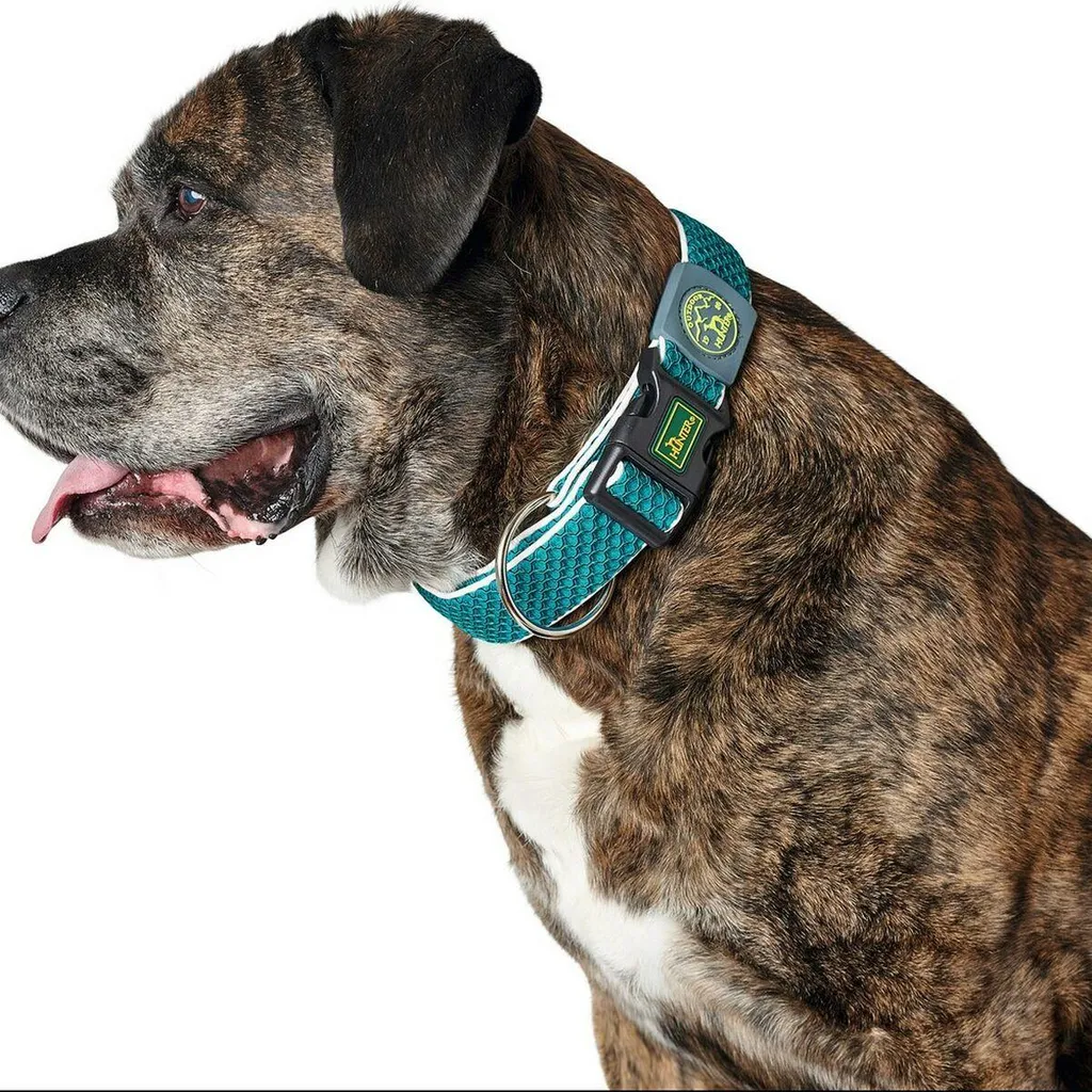 Hunter Plus Fil Turchese 11: Collare Trekking Cane Traspirante