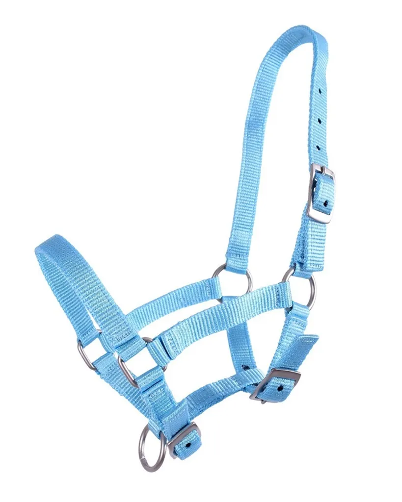 Cavezza QHP per Puledri Chic | Comfort Imbottito in Colori Glamour