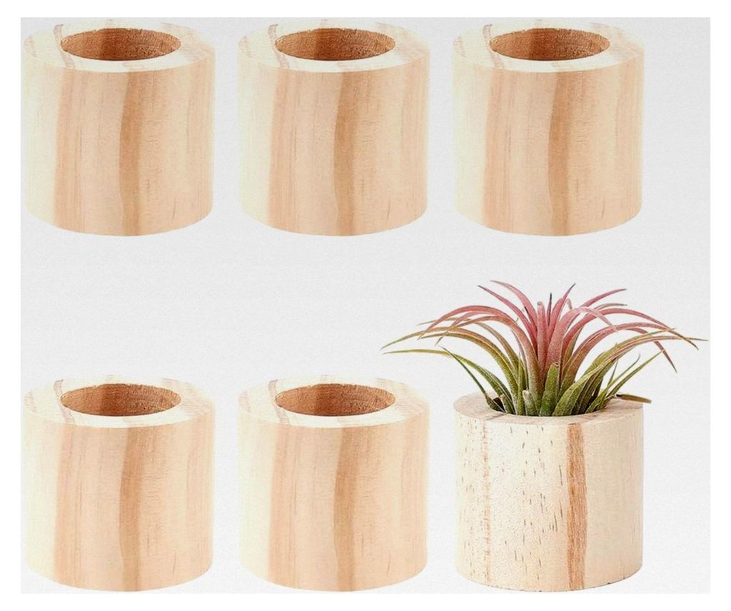 6 Stück Luftpflanzenhalter aus Holz, rustikaler Behälter für Tillandsien, Töpfe zur Präsentation kleiner Luftpflanzen, Dekoration für Zuhause...