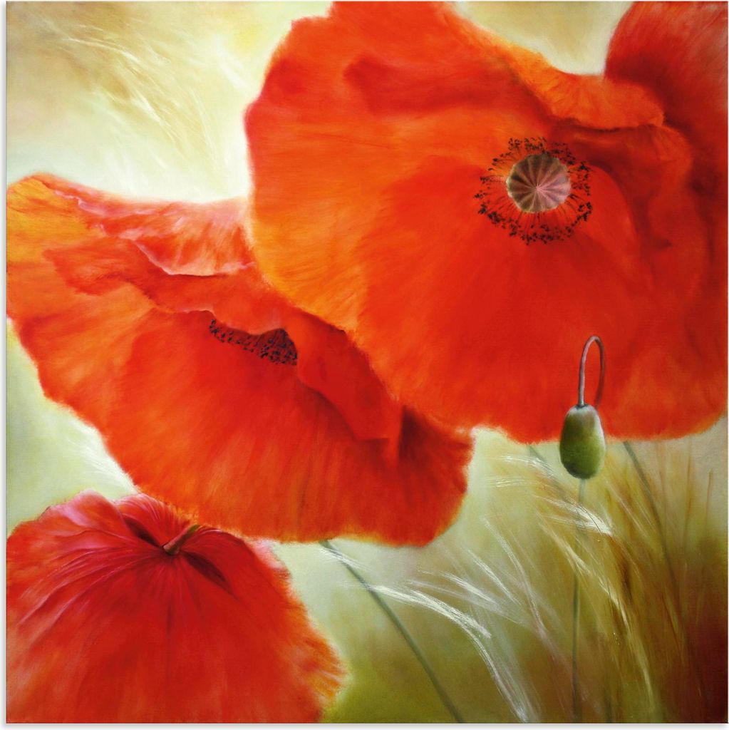 ARTland Wandbild Alu für Innen & Outdoor Drei Mal Mohn Größe: 70x70 cm