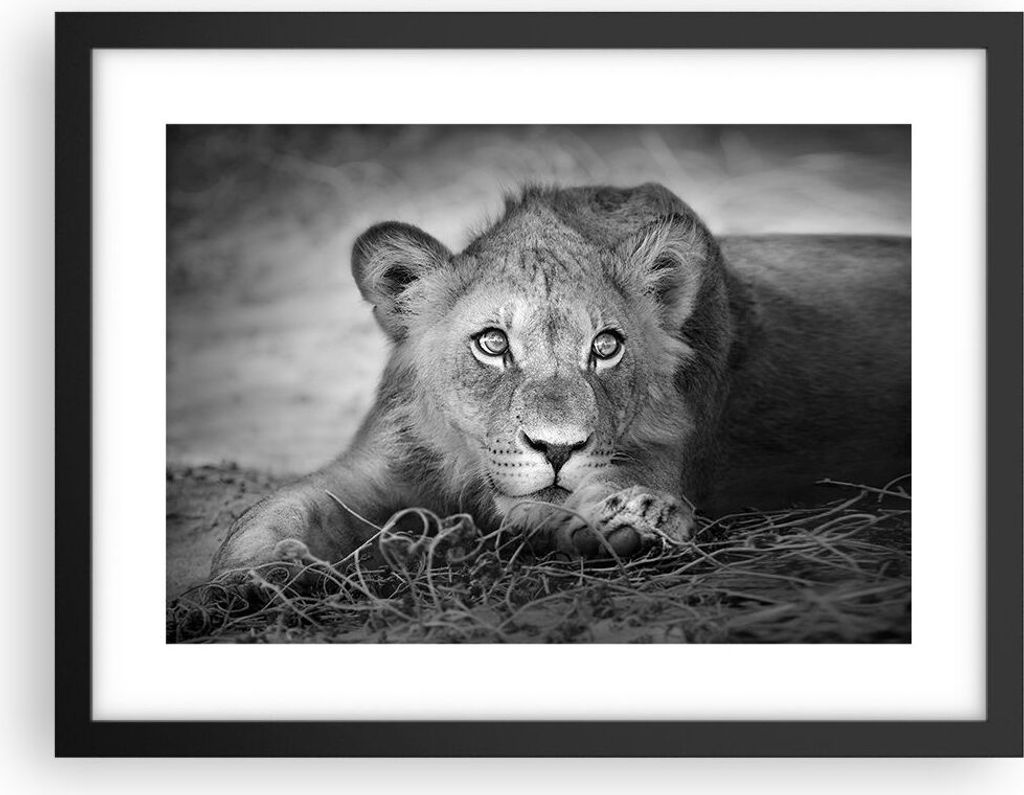 Gerahmtes Poster - Schwarzer Rahmen - Löwe asiatisch Porträt - 40x30 cm - Wand Bild - Wanddeko - Wandbilder - Kunstposter - Wandposter - Bilderra...