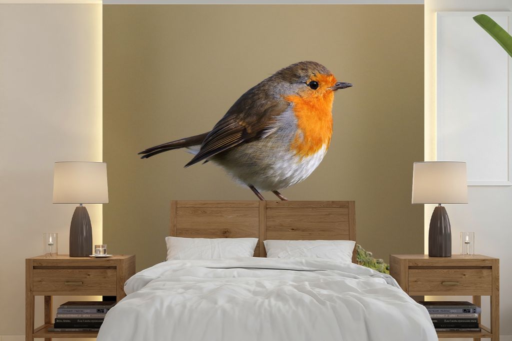 MuchoWow Fototapete für Wohnzimmer oder Schlafzimmer Wandtapete Vinyl Motivtapete Vogel - Rotkehlchen - Holz - 280x280 cm - Hintergrundbild