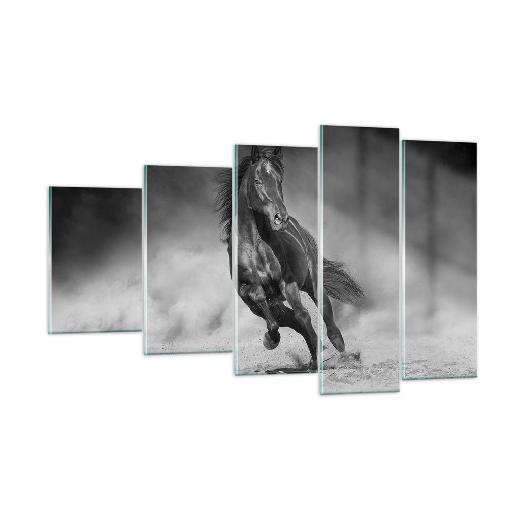 Bilder auf glas - 5 Teile - Pferd Galopp dynamisch - 100x60cm - Glasbilder - Wandbilder - Bilder - zum Aufhängen bereit - Wanddekoration aus Glas ...