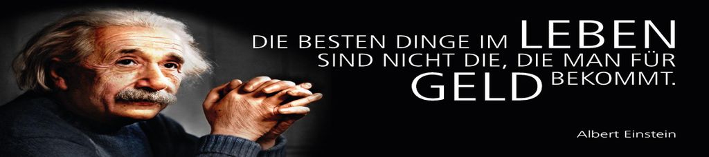 vianmo Holzschild 10x46 cm Einstein Zitat Die besten Dinge im Leben