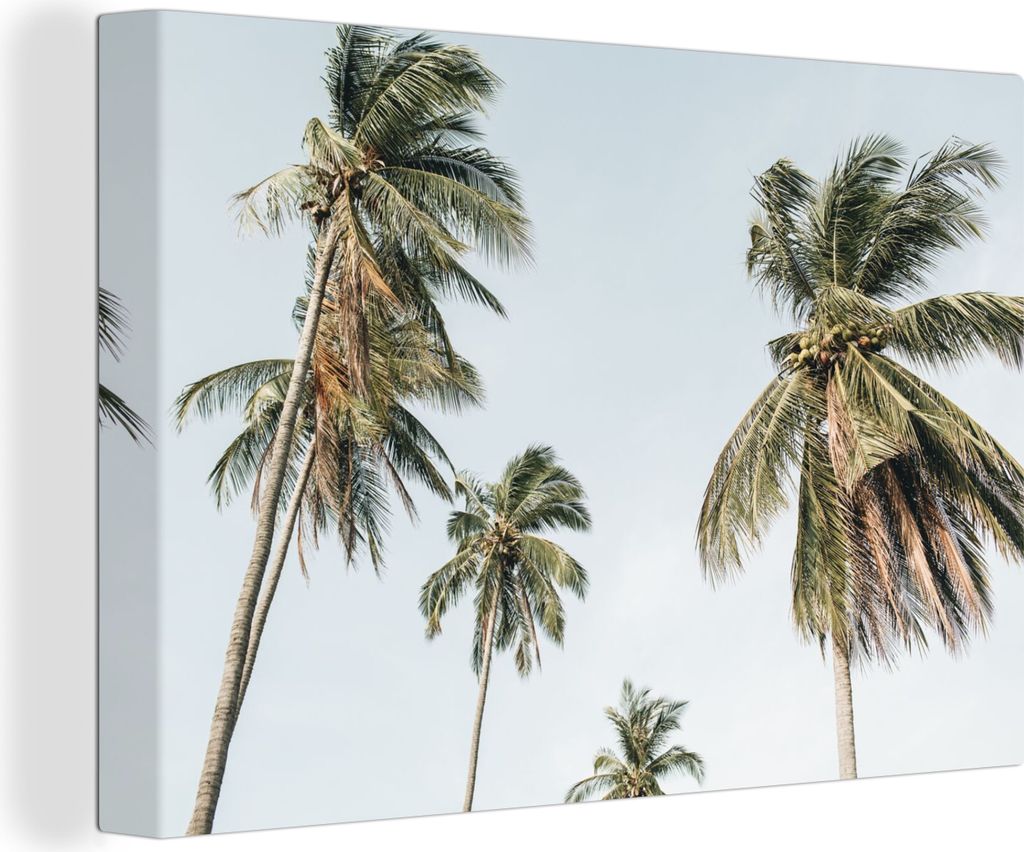 OneMillionCanvasses - Leinwandbilder - 150x100 cm, Palmen - Sommer - Tropisch, Wandbilder Kunstdruck Wanddekoration - Foto auf Leinwand - Gemäld...