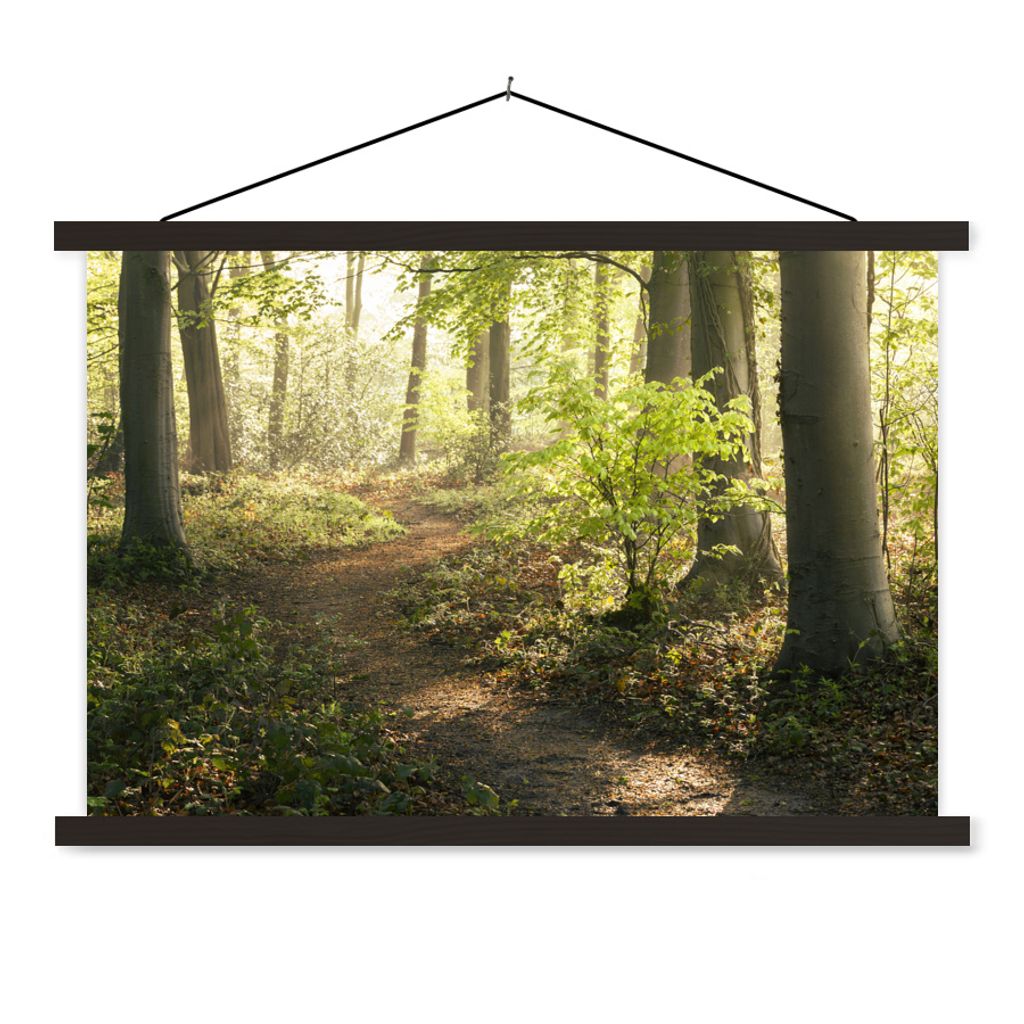 MuchoWow Textilposter Wald - Bäume - Weg - Sonne - Pflanzen - Laub - Natur 60x40 cm mit schwarzem Rahmen - Hölzernes