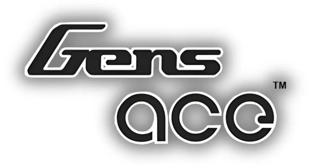 Recensione Gens Ace G-Tech 5500mAh 11.1V 60C LiPo - Batteria Hardcase 3S