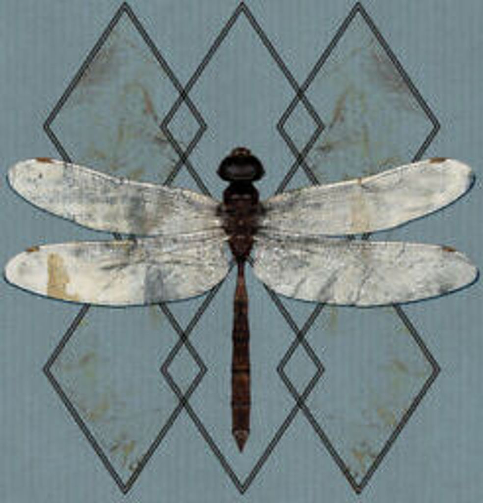 OHHMS : Close CD (2020)