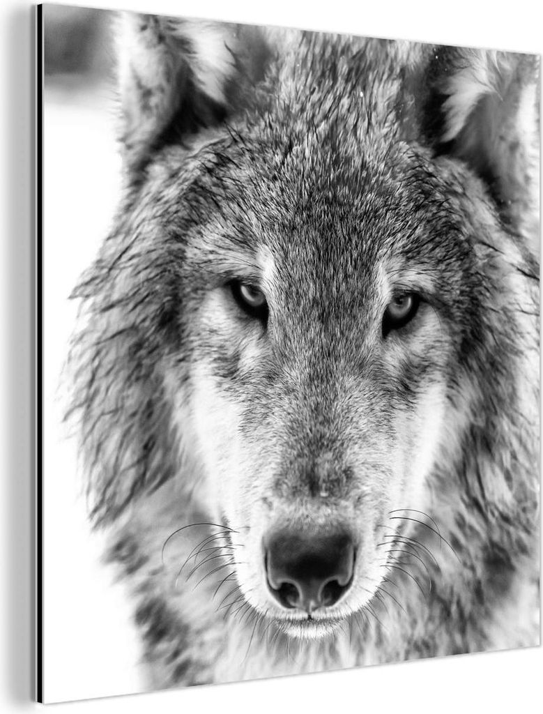 MuchoWow Wanddekoration Metall Metallbild Wandkunst 90x90 cm Tierprofil Wolf in schwarz und weiß MuchoWow Aluminium Gemälde - Dekoration - Indust...