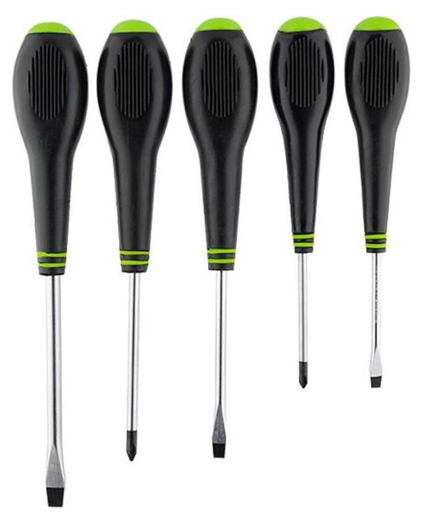 Set mit 5 magnetischen Schraubendrehern von Carmotion