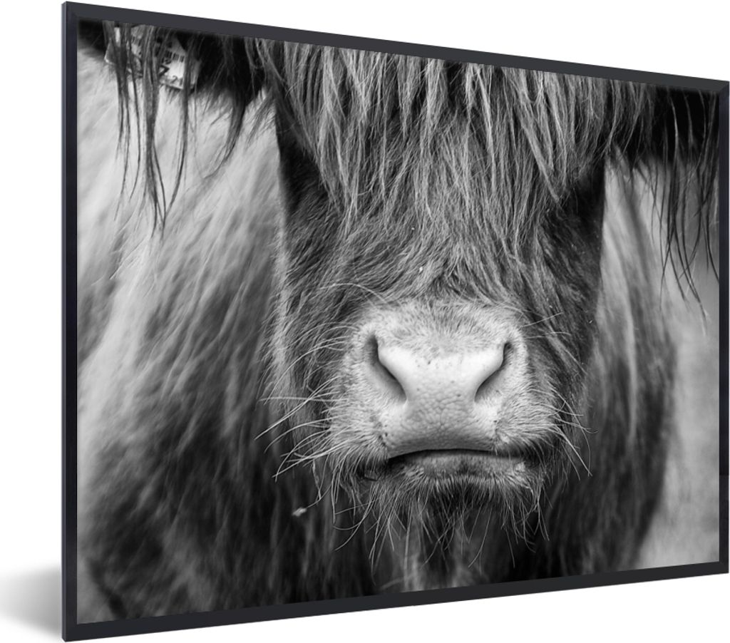 MuchoWow Gerahmtes Poster Schottischer Highlander - Kuh - Schwarz - Weiß - Tiere 40x30 cm - Poster mit Schwarzem Bilderrahmen Wandposter Rahmen ...