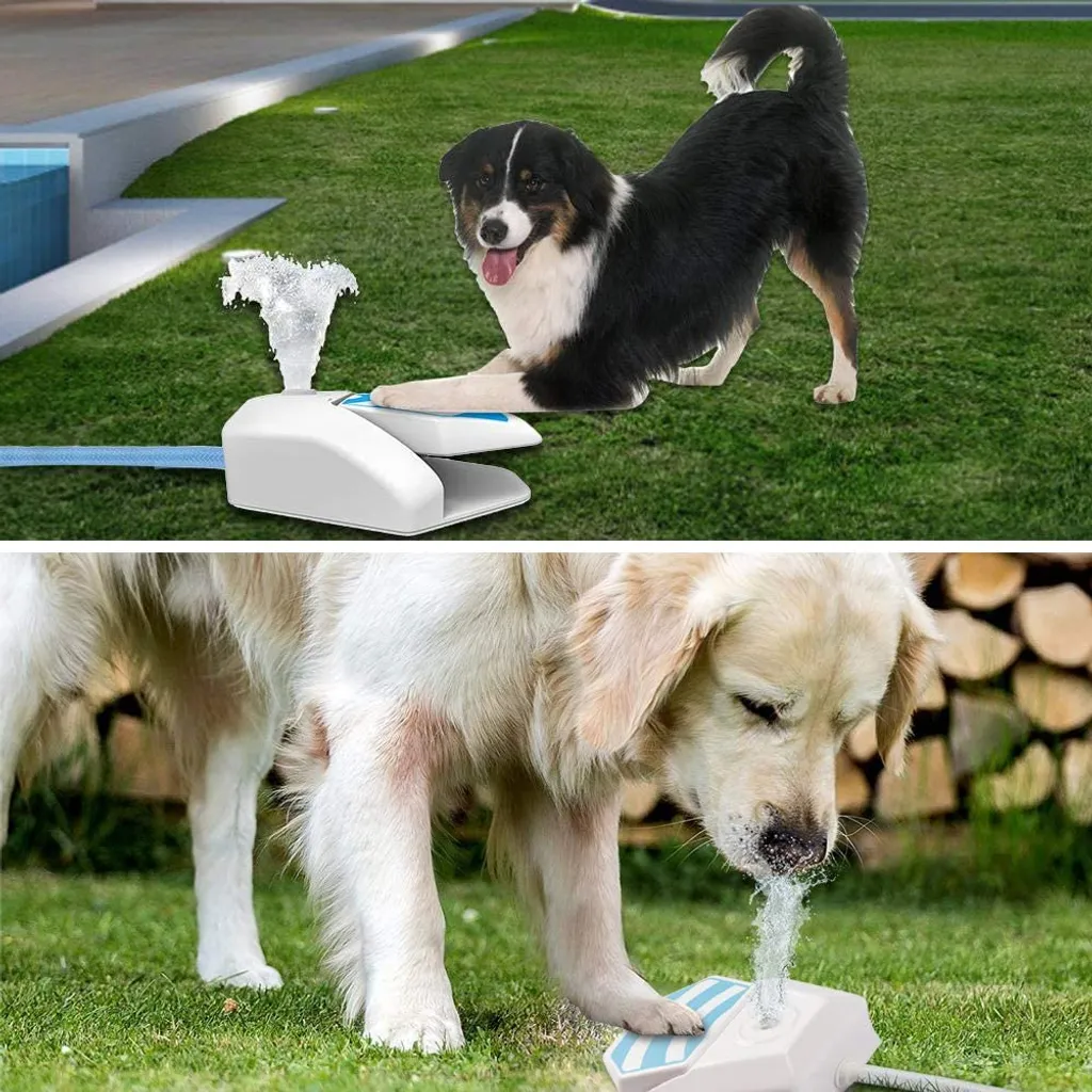Distributeur eau pour chien Tiergarten à jet activé sans BPA robuste