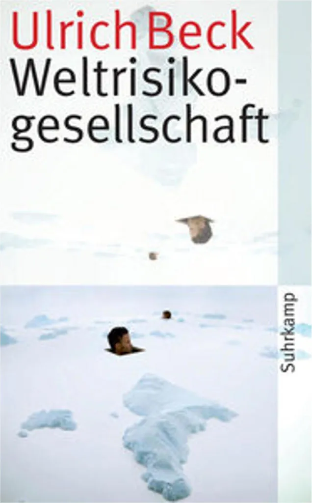 Décrypter la peur globale : La Société du risque par Ulrich Beck livre