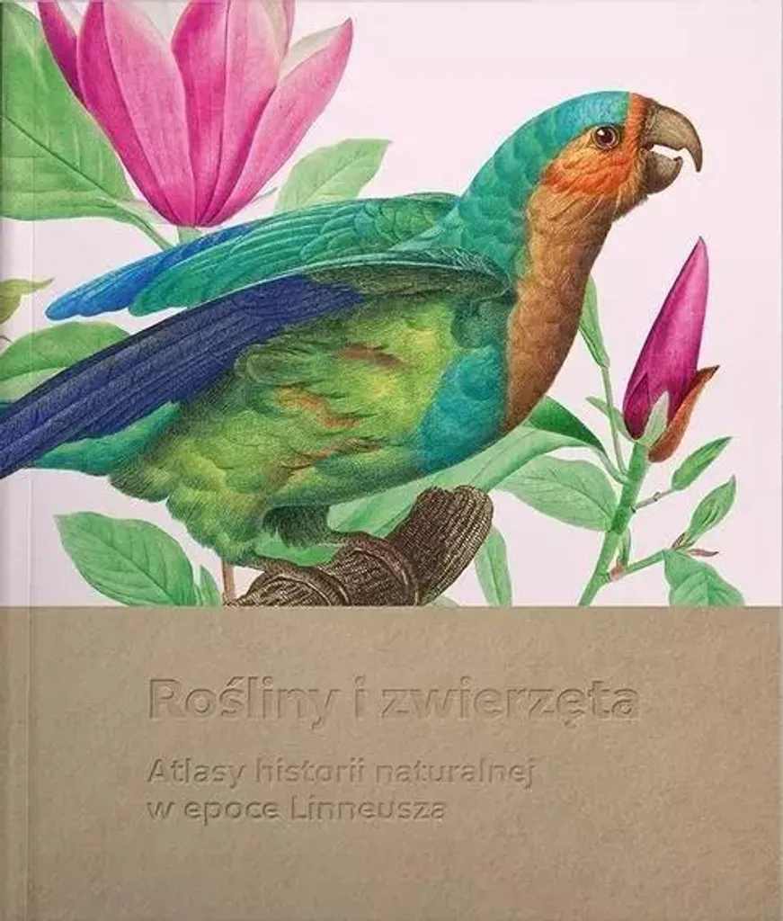 Atlas d'histoire naturelle avec planches anciennes de plantes et animaux