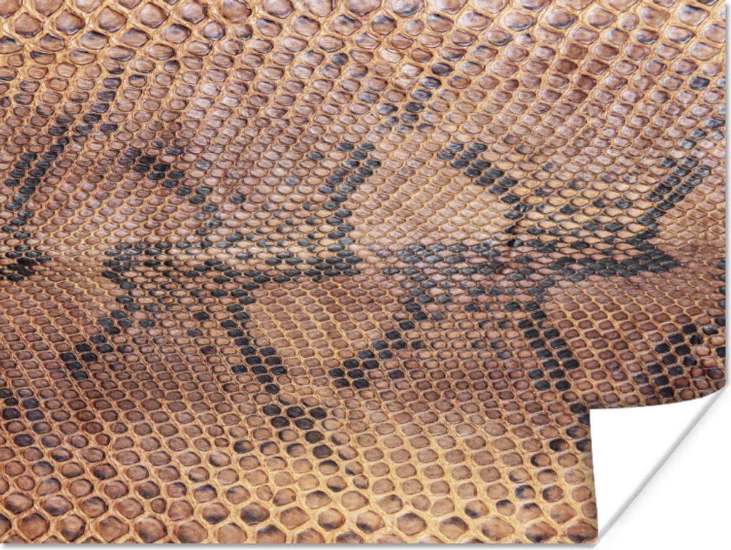 MuchoWow Poster Leder - Textur - Tierhaut 40x30 cm - Plakate für die Wände - Poster Wohnzimmer