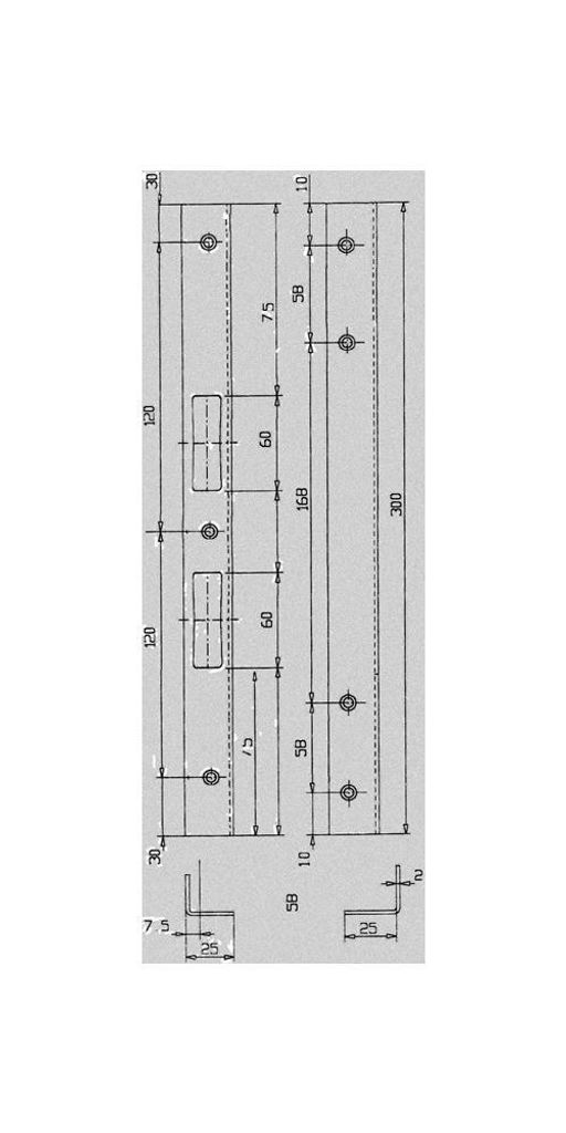 Schnegel Sicherheitswinkelschließblech L.300mm B.25mm S.2mm VA ma geb - 005/3125