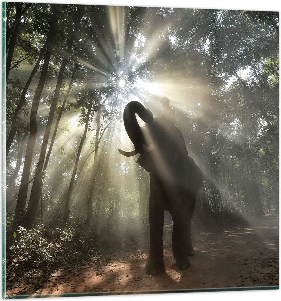 Bilder auf glas - Elefant Dschungel - 50x50cm - Glasbilder - Wandbilder - Kunstdruck - zum Aufhängen bereit - Wanddekoration aus Glas - Glas Bilde...