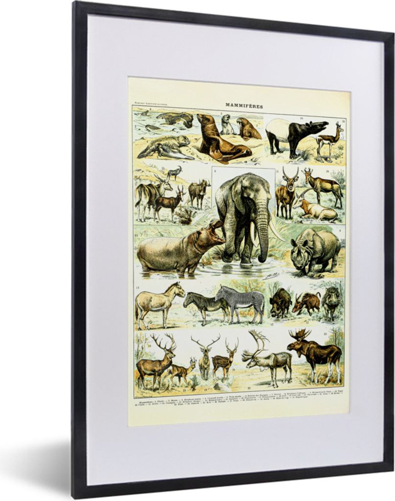 MuchoWow Gerahmtes Poster Tiere - Elefanten - Hirsche 30x40 cm - Poster mit Schwarzem Bilderrahmen Wandposter Rahmen Foto Bilder - Wandposter Sch...