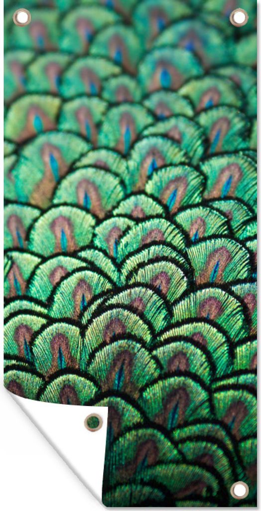 MuchoWow 30x60 cm Outdoor-Poster Gartendeko Sichtschutz Garten Poster für den Garten Pfau - Federn - Muster