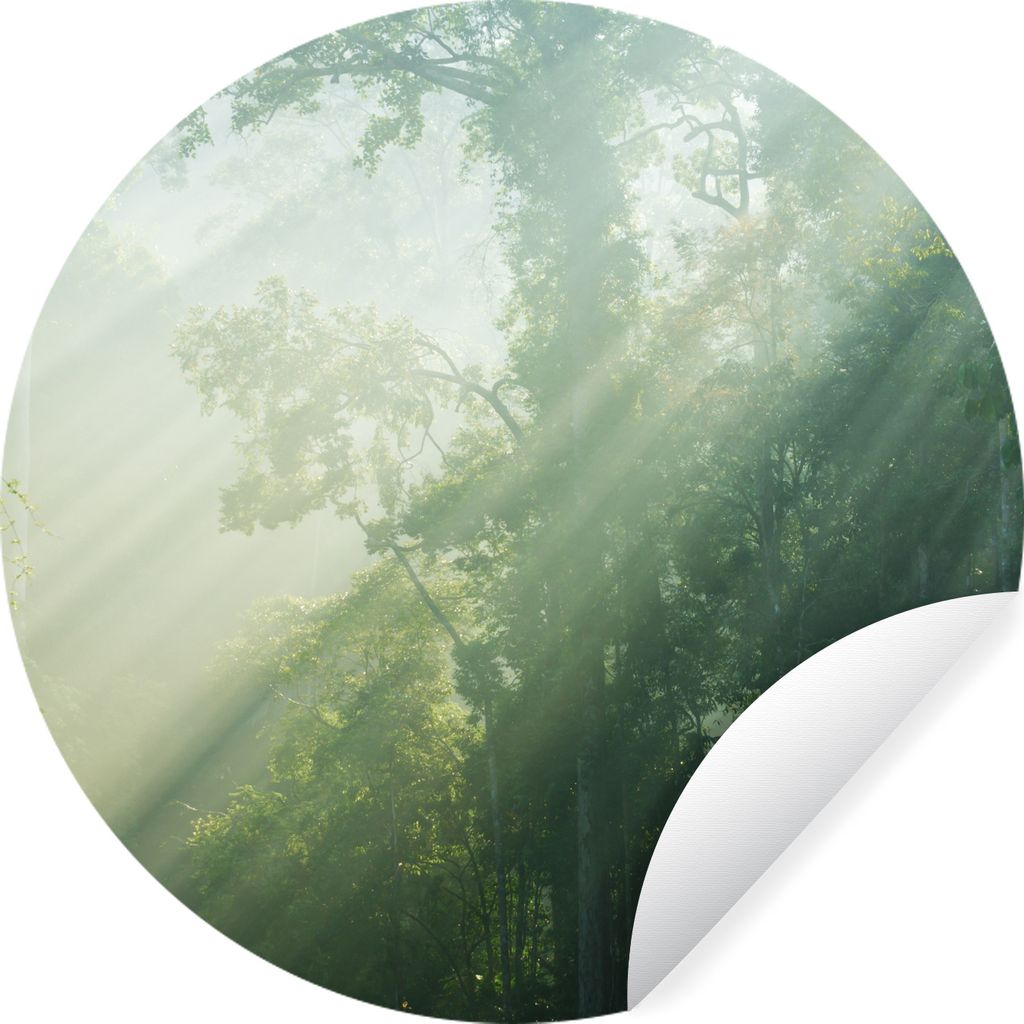 MuchoWow Runde Wandtattoo - Wandsticker Tapete Aufkleber Sonnenstrahlen in einem grünen Wald in Malaysia Ø 50 cm Selbstklebend und Repositionie...