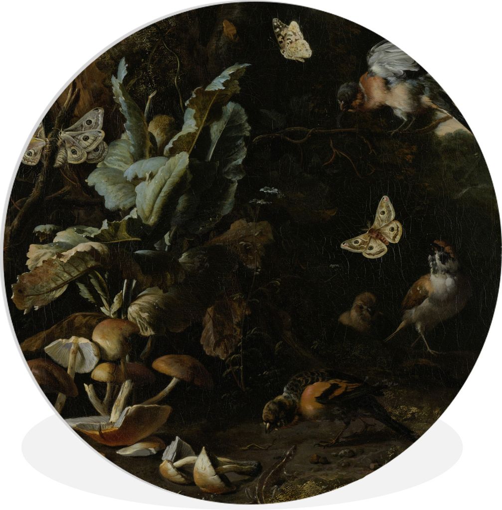 MuchoWow Rundes Wandbild - Runde Bilder Tiere und Pflanzen - Gemälde von Melchior d'Hondecoeter Ø 60 cm Kreis Wanddekoration Kunststoff - Wandk...