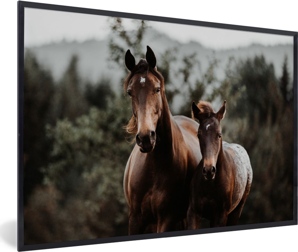 MuchoWow MuchoWow Gerahmtes Poster Pferd - Fohlen - Natur 30x20 cm - Poster mit zchwarzem Bilderrahmen - Kunstdruck - Bild-Poster