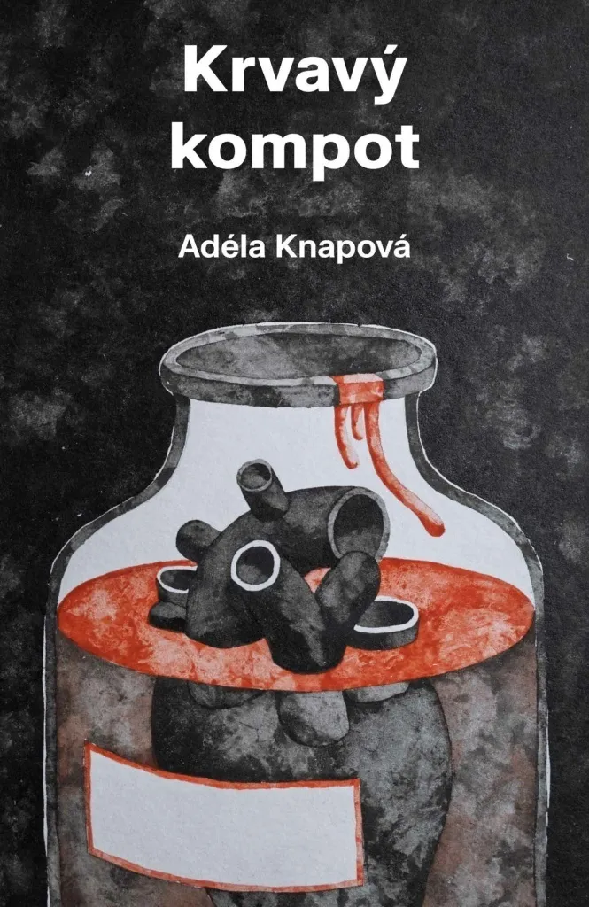 Livre d'histoire Krvavý kompot par Adéla Knapová pour comprendre l'Est