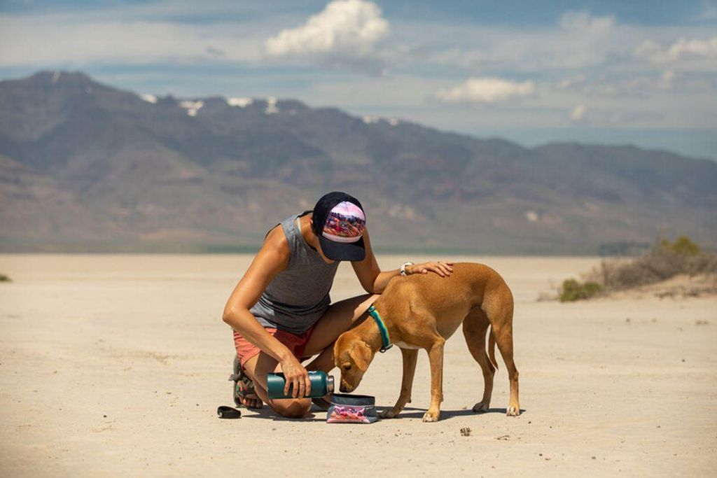 Ruffwear Artist Series Quencher Bowl Napf, Farbe:Mount Bailey
