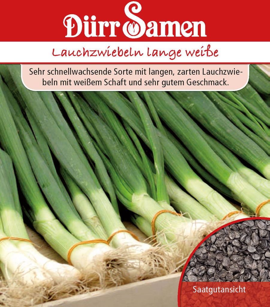 Lauchzwiebeln Lange Weiße | Lauchzwiebelnsamen von Dürr Samen