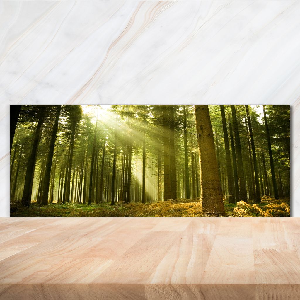 Tulup Küchenrückwand Spritzschutz aus Glas -125x50 -Spritzschutz auf gehärtetes Glas Deko Landschaften Kiefernwald