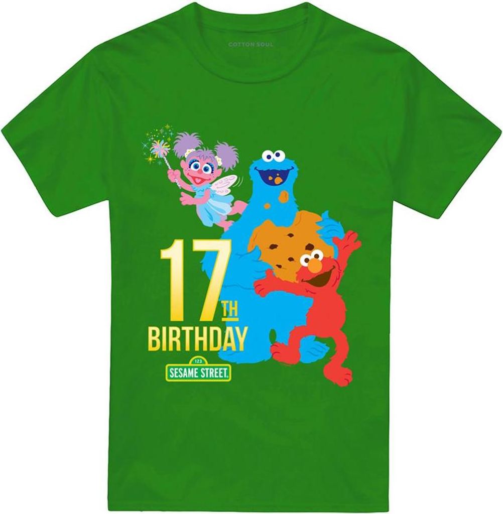 Sesame Street - T-Shirt für Herren/Damen Uni, 17. Geburtstag TV28251 (XL) (Irisches Grün)
