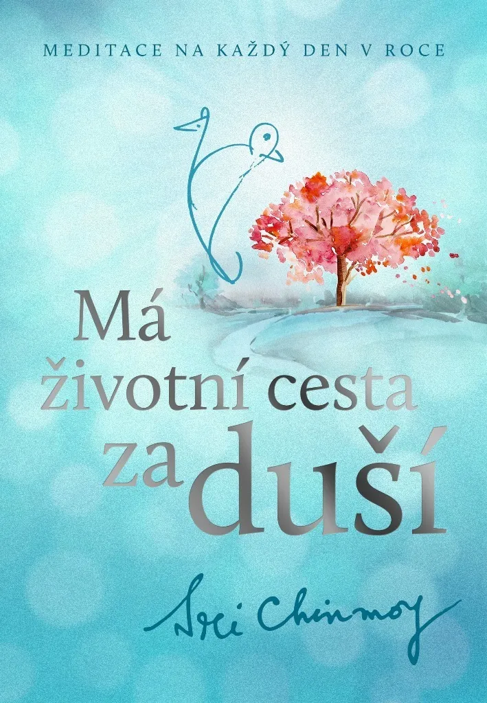 Pratiquer la Méditation Quotidienne : Guide de Sri Chinmoy vers l'Âme