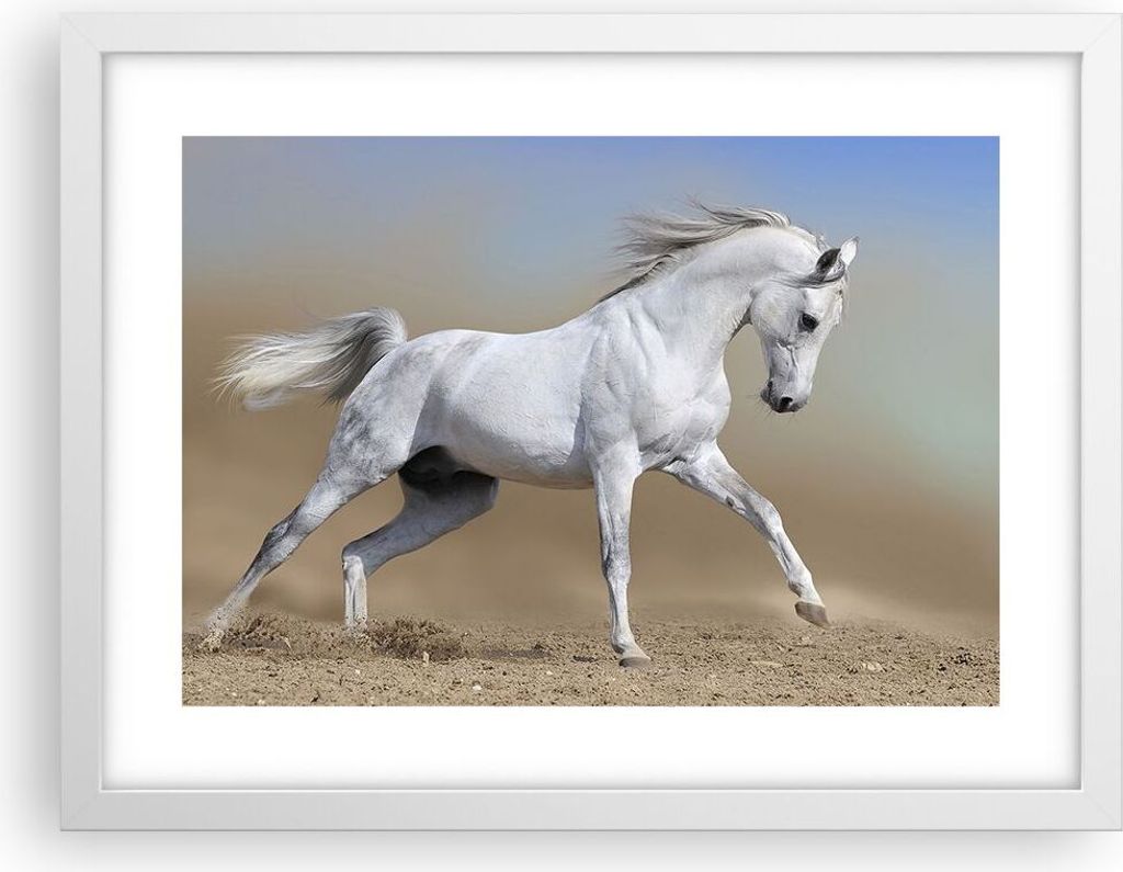 Gerahmtes Poster - Weißer Rahmen - Pferd weiß Tier - 40x30 cm - Wand Bild - Wanddeko - Wandbilder - Kunstposter - Wandposter - Bilderrahmen - Bil...