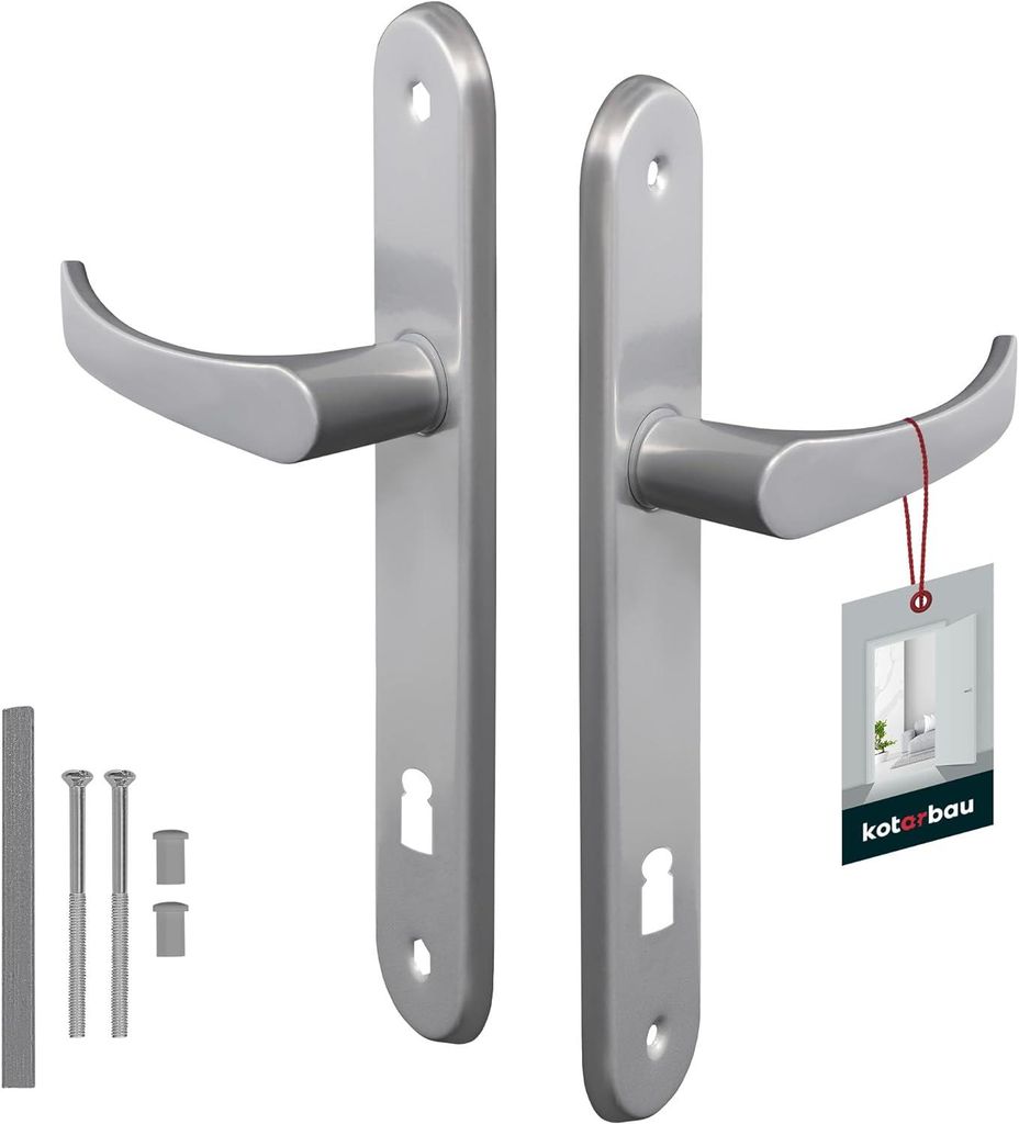 A pair of silver door handles with their mounting hardware.