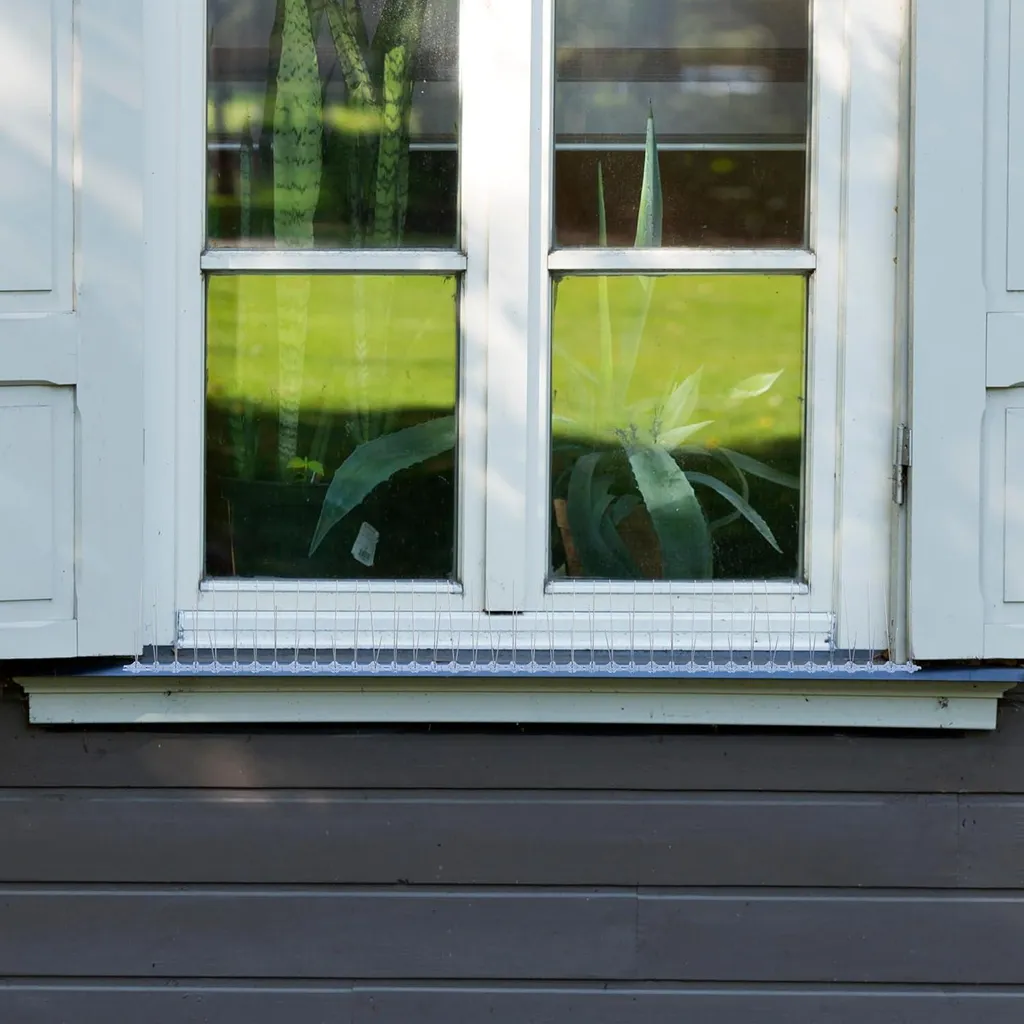 Éloignez les pigeons de votre balcon avec ces 6 pics en inox HBD