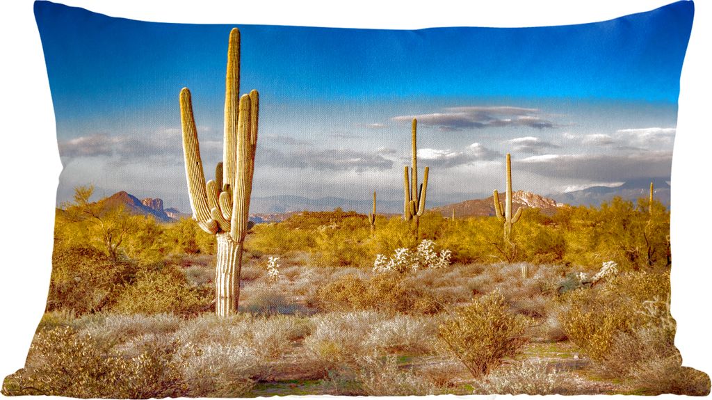 MuchoWow Zierkissen Sofakissen Wohnzimmer Dekokissen 50x30 cm Kaktus bei Sonnenuntergang in Arizona - Wohnzimmerdekoration - Polster mit Photo