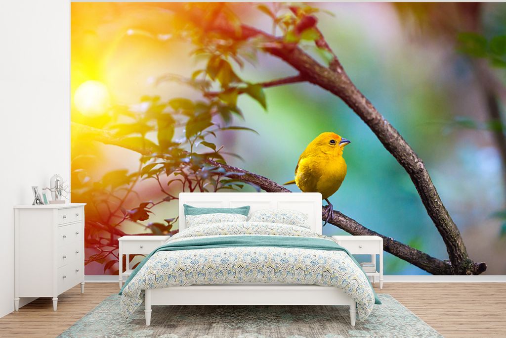 MuchoWow Fototapete für Wohnzimmer oder Schlafzimmer Wandtapete Vinyl Motivtapete Schöner gelber Kanarienvogel in Barcelona - 400x300 cm - Papi...