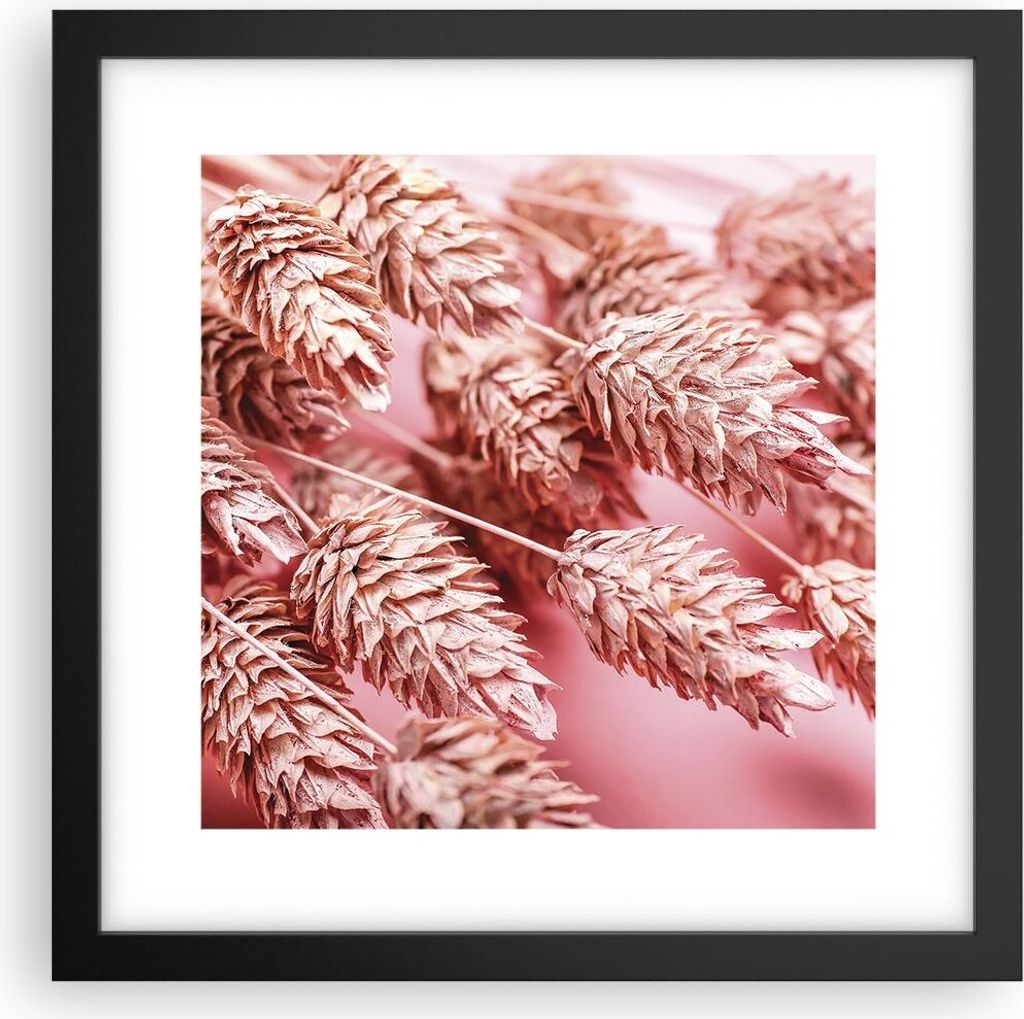 Gerahmtes Poster - Schwarzer Rahmen - Klinge Gras getrocknet - 30x30 cm - Wand Bild - Wanddeko - Wandbilder - Kunstposter - Wandposter - Bilderrahm...
