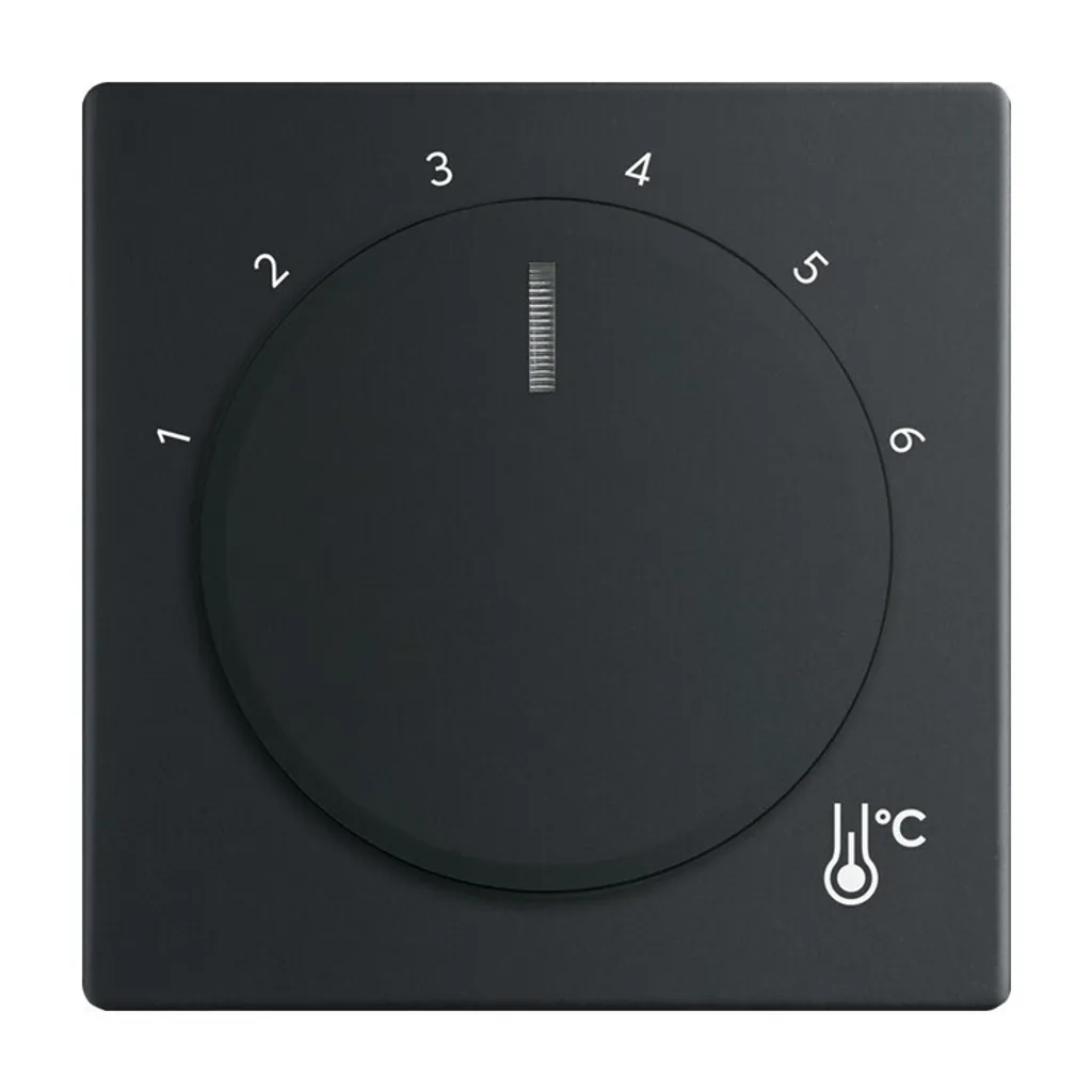 Disque de Finition 1794 R-885 Busch-Jaeger pour Thermostat Abîmé