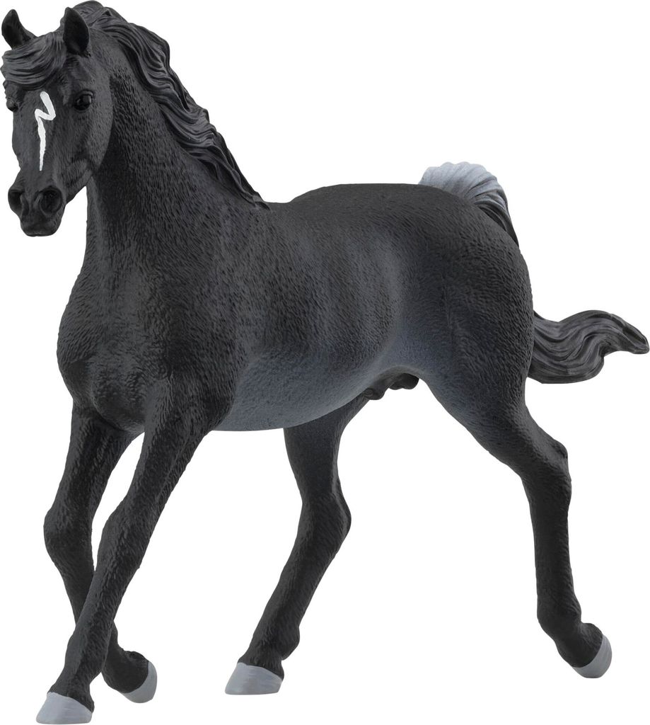 schleich 13981 Araber Hengst, ab 5 Jahren, HORSE CLUB - Spielfigur, 5 x 15 x 10 cm, Schwarz