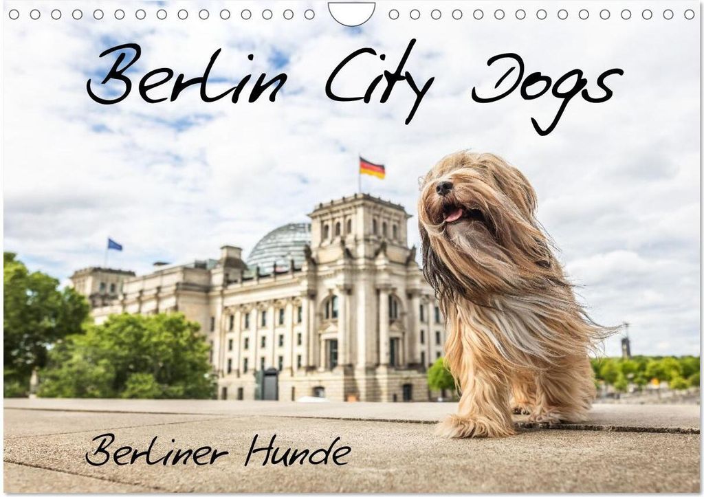 Berlin City Dogs - Berliner Hunde (Wandkalender 2026 DIN A4 quer), CALVENDO Monatskalender