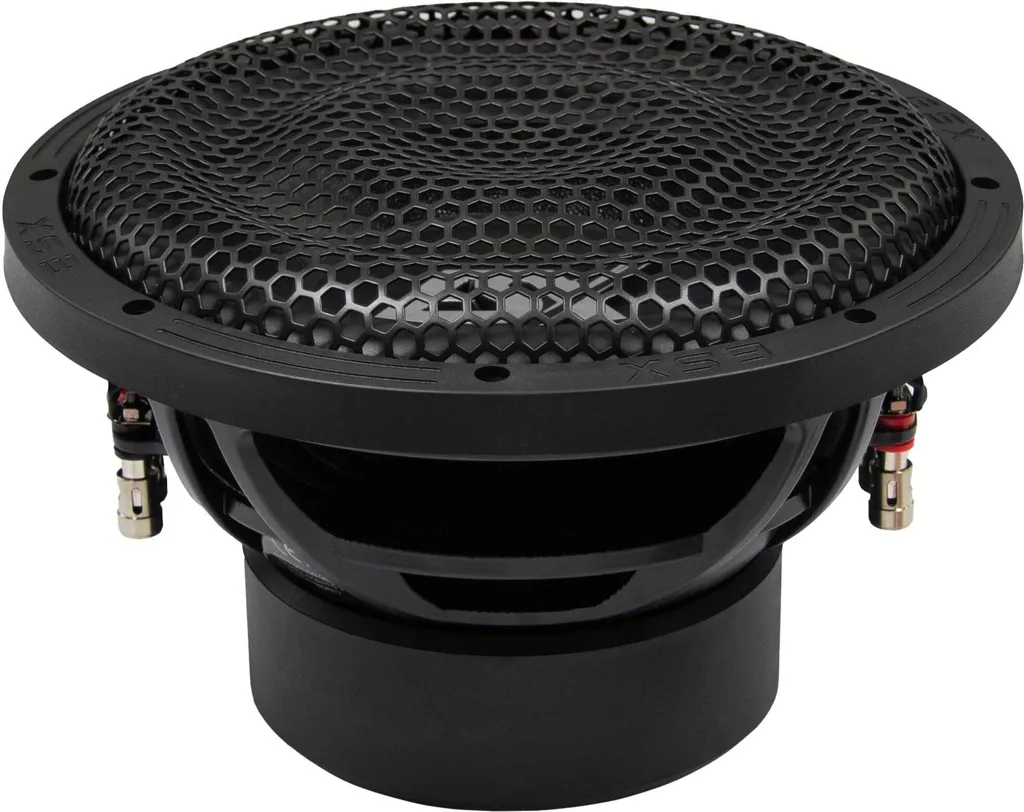 Haut-parleur de Graves 25cm ESX SXE10D2 SIGNUM pour Basses Puissantes