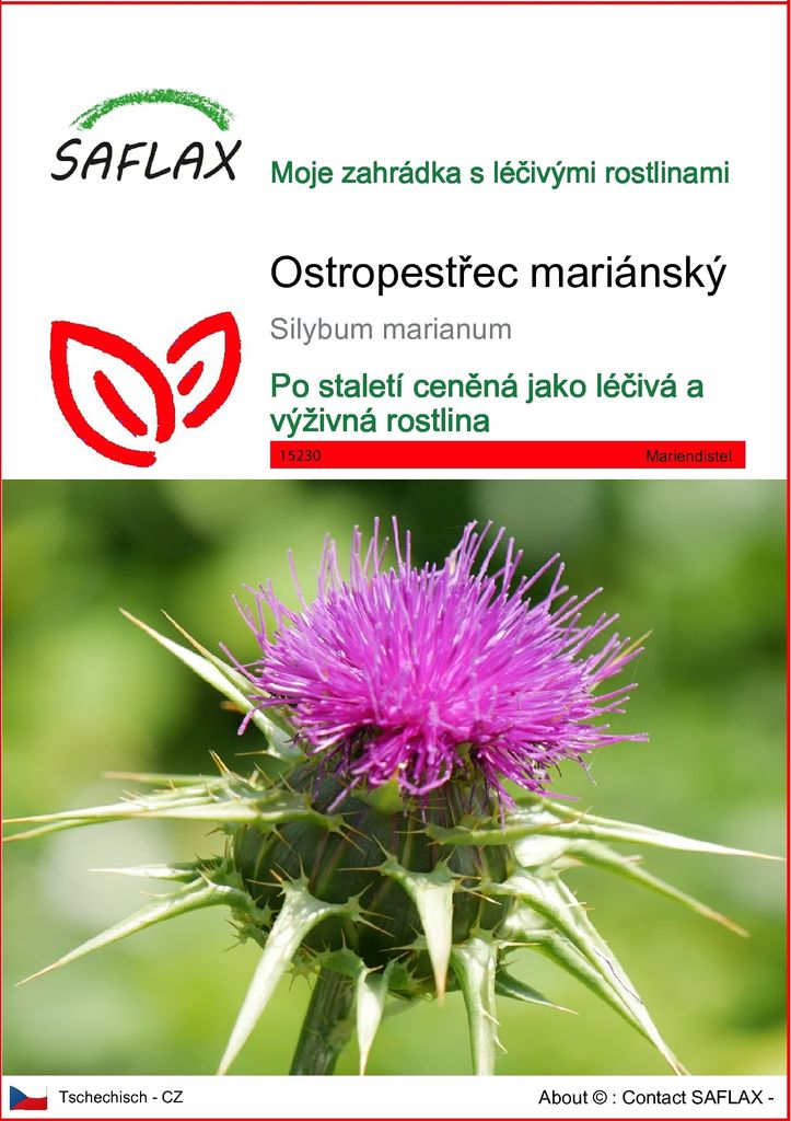 SAFLAX - ostropestřec mariánský - Silybum marianum - 75 Obrázek produktu 