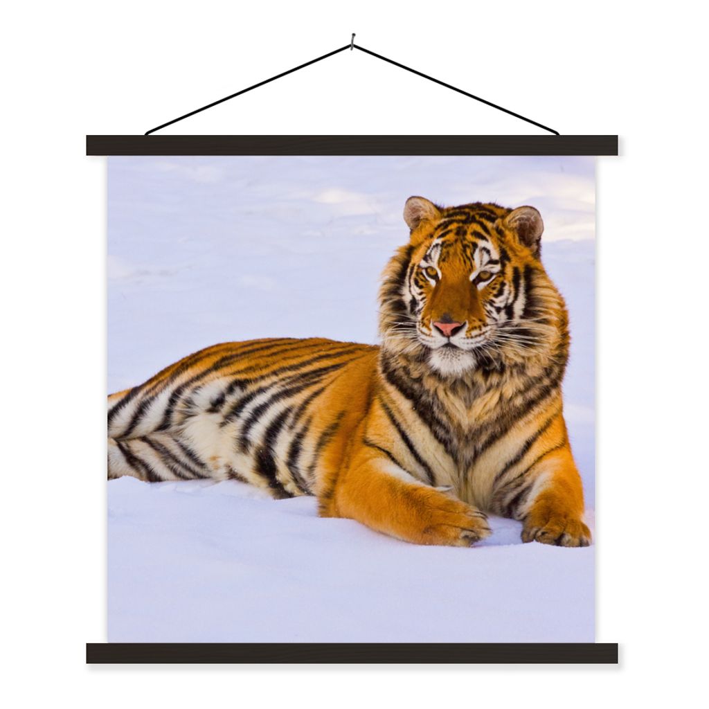 MuchoWow Textilposter Tiger - Schnee - Winter - Tiere 60x60 cm mit schwarzem Rahmen - Posteraufhänger