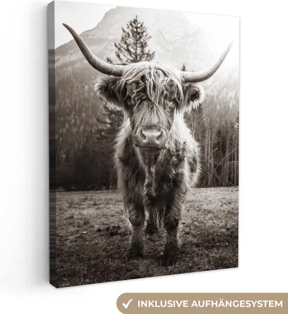 MuchoWow - Leinwandbilder - Schottischer Highlander - Schwarz - Weiß - Tiere, Wandbild, Wanddeko Bilder Wohnzimmer, 30x40 cm