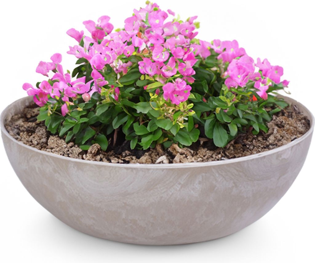 Pflanzschale für draußen Dekoschalen rund sand beige 45 cm